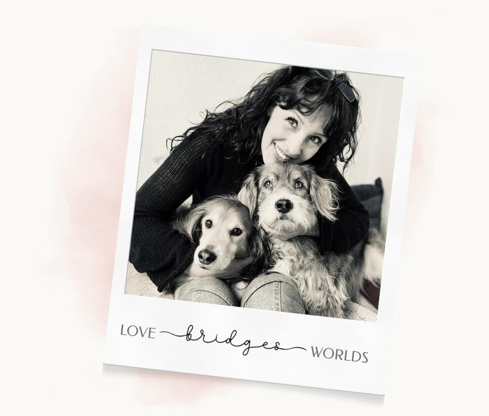 Text image with the phrase "Love is the most powerful force that exists", followed by the name "Andrea, Animal Medium".
