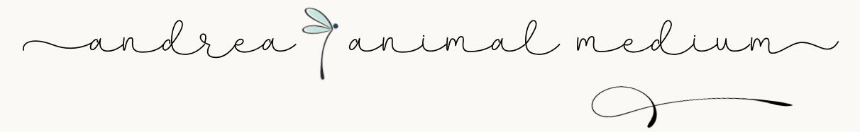 Andrea’s logo.